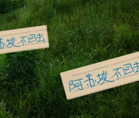 官网赛事新闻-不愧是大申花！阿苏埃入选赤道几内亚大名单 人却留在上海